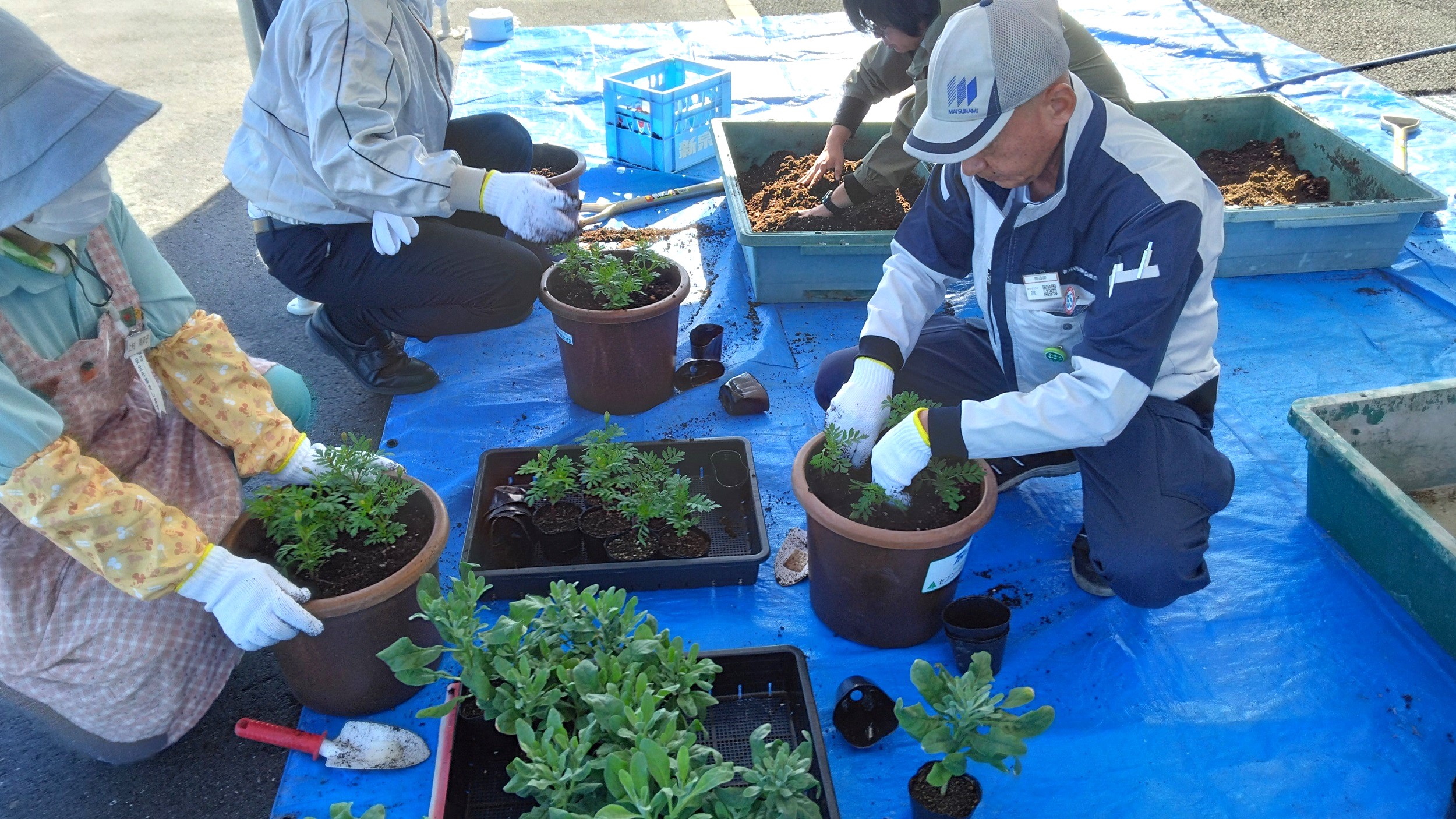 クリーンキャンペーン1