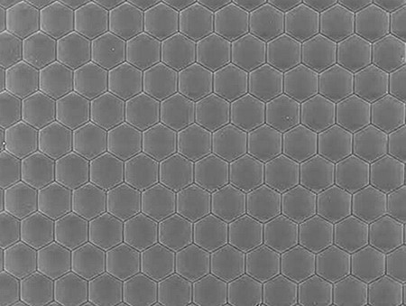 マイクロレンズアレイ(5〜150μm) マイクロレンズアレイ(5〜150μm)