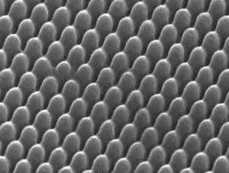 モスアイ構造(150〜300nm) モスアイ構造(150〜300nm)
